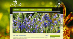 Desktop Screenshot of irysek.com